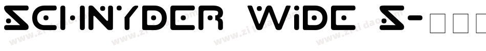 Schnyder Wide S字体转换